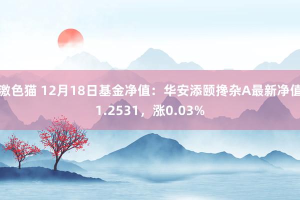 激色猫 12月18日基金净值：华安添颐搀杂A最新净值1.2531，涨0.03%