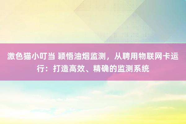 激色猫小叮当 颖悟油烟监测，从聘用物联网卡运行：打造高效、精确的监测系统