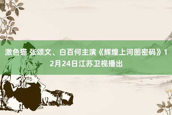 激色猫 张颂文、白百何主演《辉煌上河图密码》12月24日江苏卫视播出