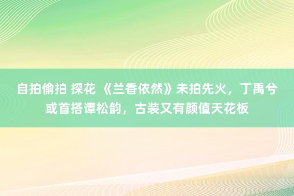 自拍偷拍 探花 《兰香依然》未拍先火，丁禹兮或首搭谭松韵，古装又有颜值天花板