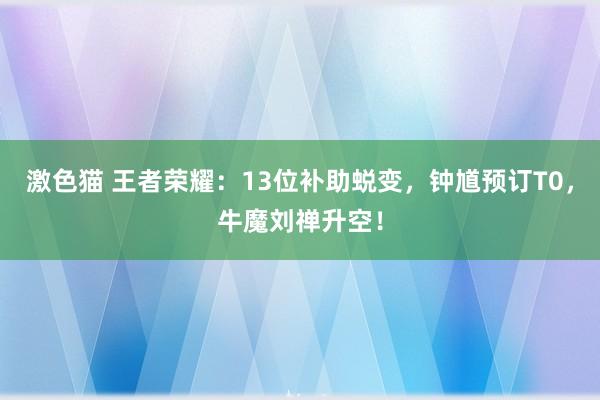 激色猫 王者荣耀：13位补助蜕变，钟馗预订T0，牛魔刘禅升空！