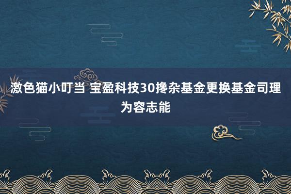 激色猫小叮当 宝盈科技30搀杂基金更换基金司理为容志能