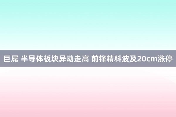 巨屌 半导体板块异动走高 前锋精科波及20cm涨停