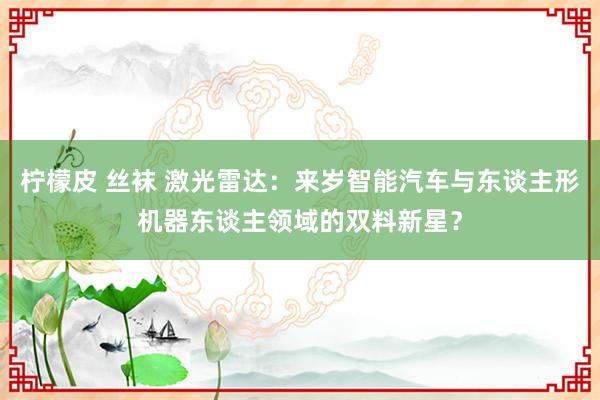 柠檬皮 丝袜 激光雷达：来岁智能汽车与东谈主形机器东谈主领域