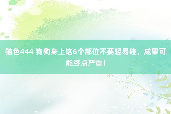 猫色444 狗狗身上这6个部位不要轻易碰，成果可能终点严重！