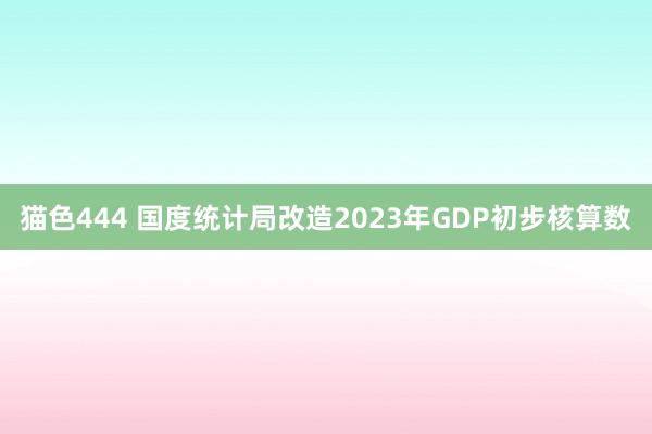 猫色444 国度统计局改造2023年GDP初步核算数