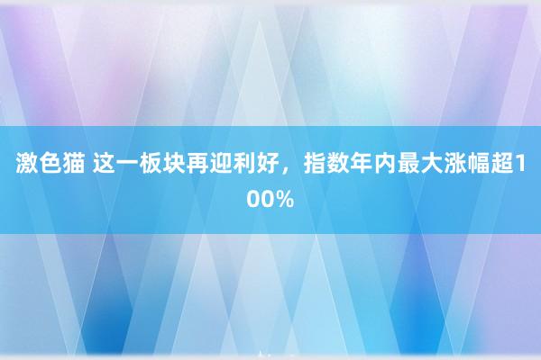 激色猫 这一板块再迎利好，指数年内最大涨幅超100%