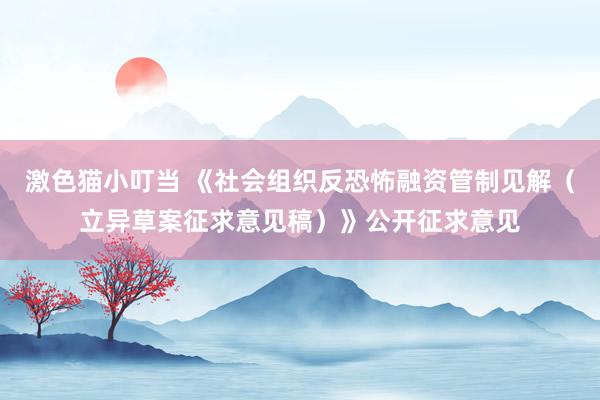 激色猫小叮当 《社会组织反恐怖融资管制见解（立异草案征求意见稿）》公开征求意见