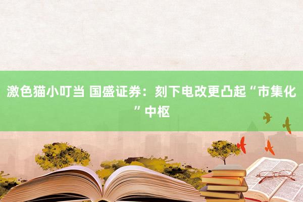 激色猫小叮当 国盛证券：刻下电改更凸起“市集化”中枢