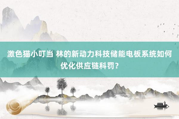 激色猫小叮当 林的新动力科技储能电板系统如何优化供应链科罚？