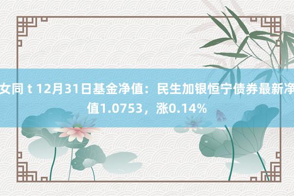 女同 t 12月31日基金净值：民生加银恒宁债券最新净值1.0753，涨0.14%