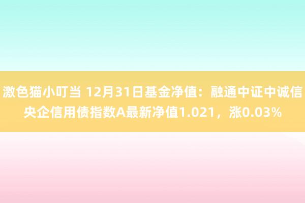 激色猫小叮当 12月31日基金净值：融通中证中诚信央企信用债指数A最新净值1.021，涨0.03%