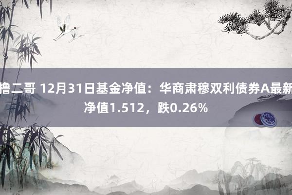 撸二哥 12月31日基金净值：华商肃穆双利债券A最新净值1.512，跌0.26%