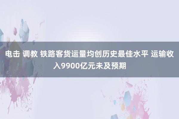 电击 调教 铁路客货运量均创历史最佳水平 运输收入9900亿