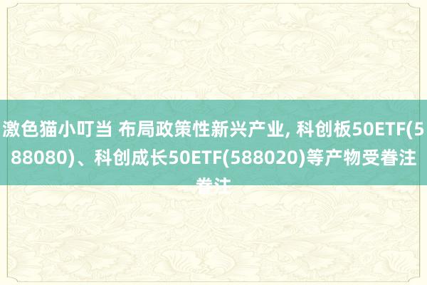 激色猫小叮当 布局政策性新兴产业， 科创板50ETF(588080)、科创成长50ETF(588020)等产物受眷注