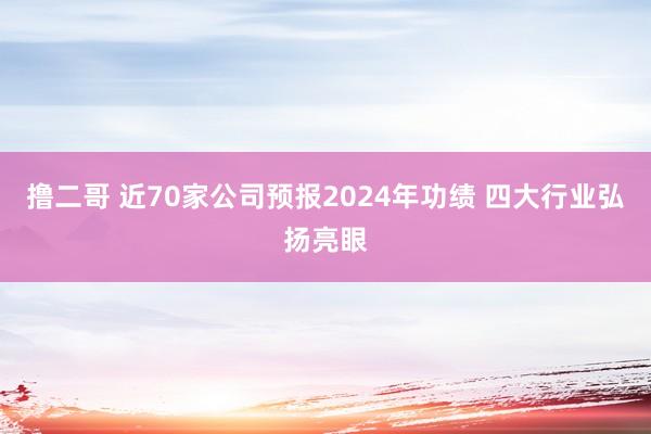 撸二哥 近70家公司预报2024年功绩 四大行业弘扬亮眼