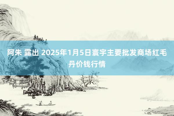 阿朱 露出 2025年1月5日寰宇主要批发商场红毛丹价钱行情