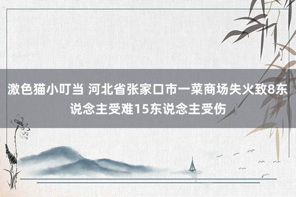 激色猫小叮当 河北省张家口市一菜商场失火致8东说念主受难15