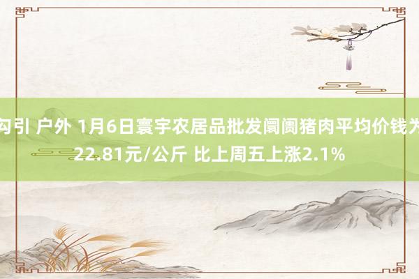 勾引 户外 1月6日寰宇农居品批发阛阓猪肉平均价钱为22.8