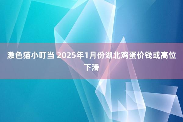 激色猫小叮当 2025年1月份湖北鸡蛋价钱或高位下滑