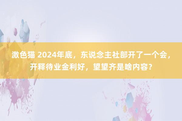 激色猫 2024年底，东说念主社部开了一个会，开释待业金利好