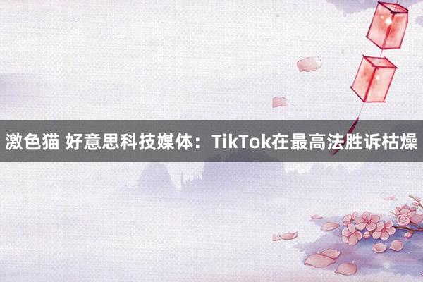 激色猫 好意思科技媒体：TikTok在最高法胜诉枯燥