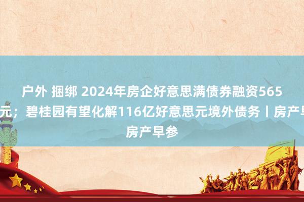 户外 捆绑 2024年房企好意思满债券融资5653亿元；碧桂