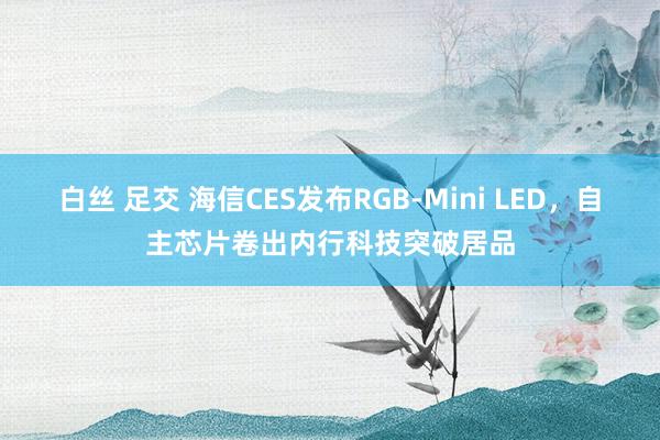 白丝 足交 海信CES发布RGB-Mini LED，自主芯片