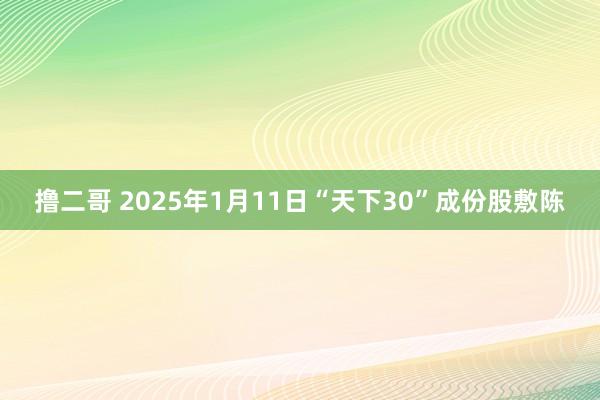 撸二哥 2025年1月11日“天下30”成份股敷陈