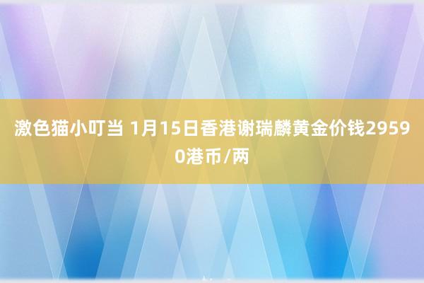 激色猫小叮当 1月15日香港谢瑞麟黄金价钱29590港币/两