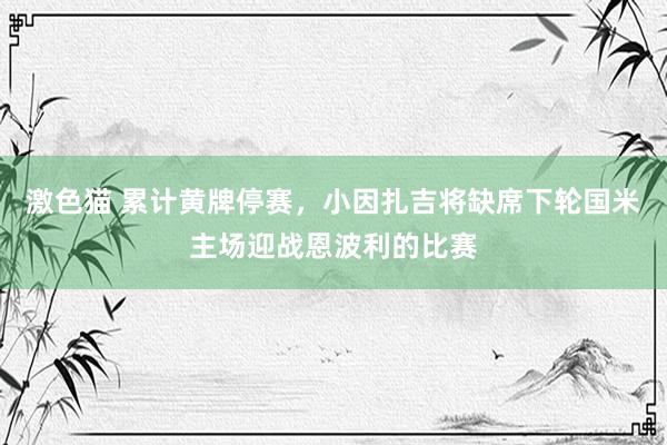 激色猫 累计黄牌停赛，小因扎吉将缺席下轮国米主场迎战恩波利的